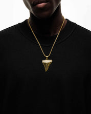 Shark Tooth Pendant (Gold)